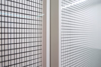 All along the Line! Positions of Contemporary Drawing